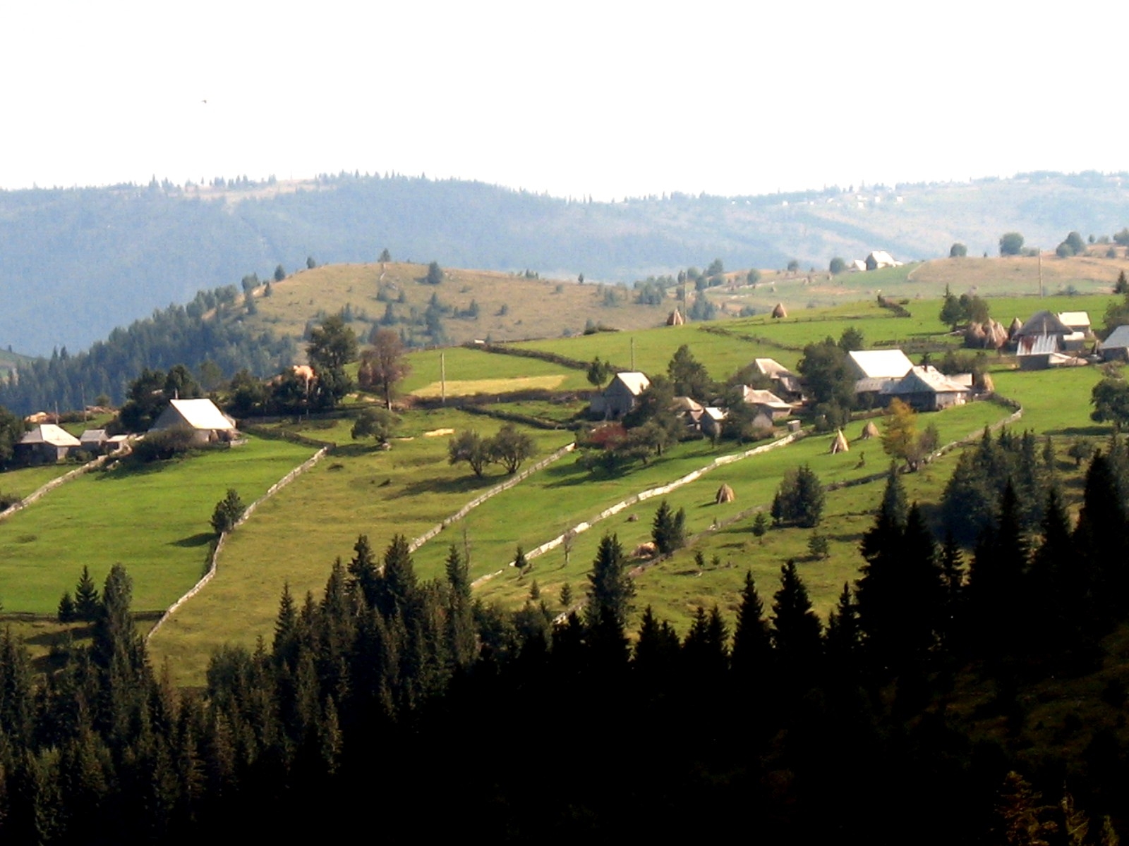 Mărișel